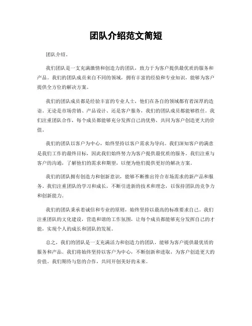 团队介绍范文简短