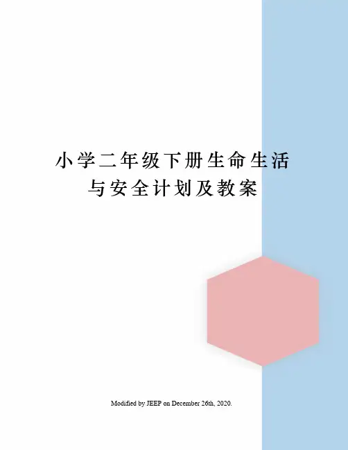 小学二年级下册生命生活与安全计划及教案
