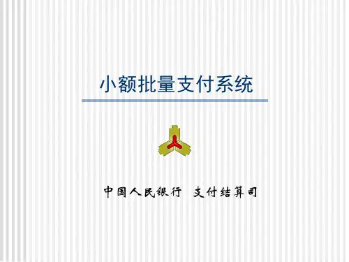 人行小额支付系统
