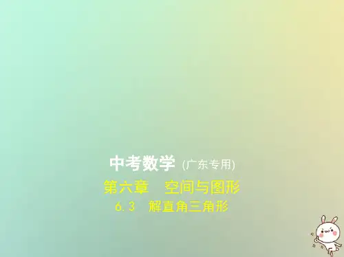 2019届广东专版中考数学一轮复习专题6空间与图形6