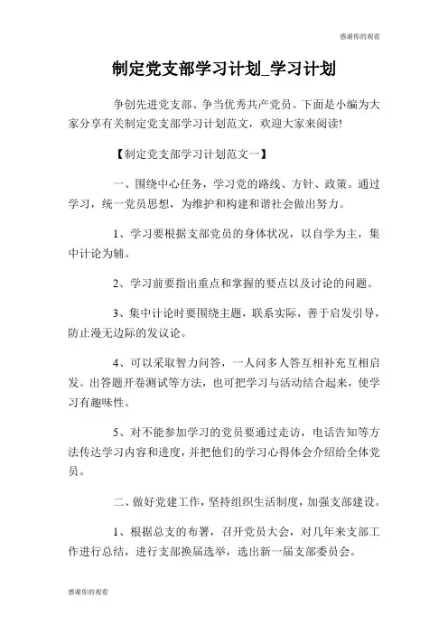 制定党支部学习计划学习计划.doc