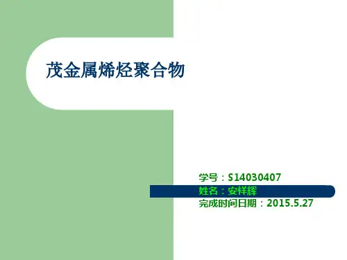 茂金属聚烯烃类PPT)