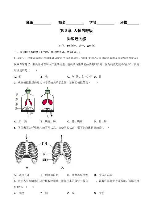 第3章 人体的呼吸(知识通关练)-【单元测试】七年级生物下册分层训练卷(人教版)(原卷版+解析版)