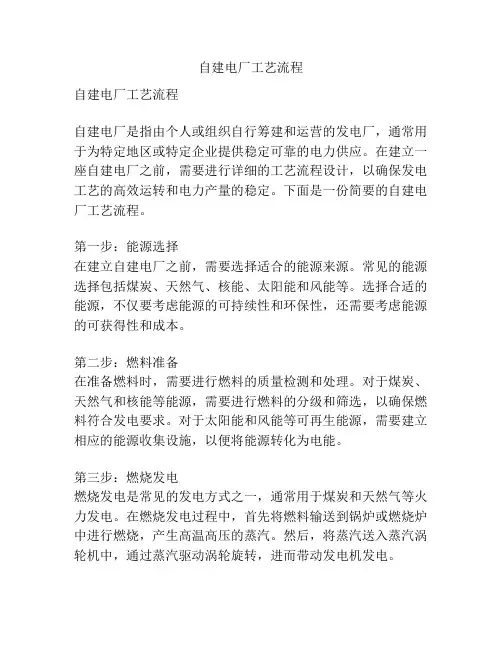 自建电厂工艺流程
