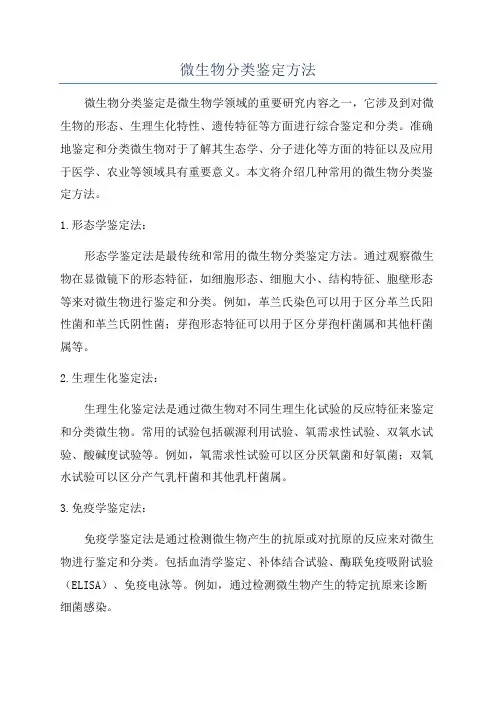 微生物分类鉴定方法