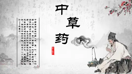 中草药PPT课件