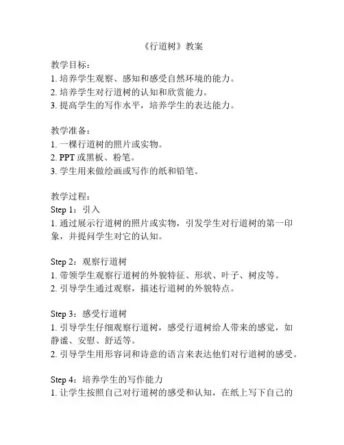 《行道树》教案