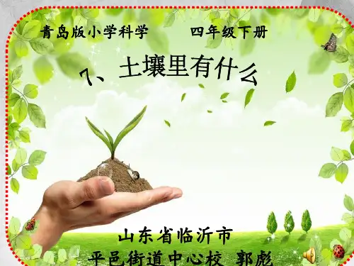 7.土壤里有什么