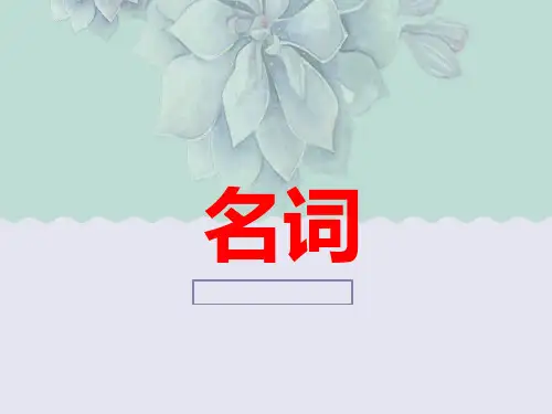 中考英语语法考点复习总结——名词(共20张PPT)