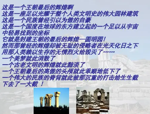 就英法联军远征中国致巴特勒上尉的信