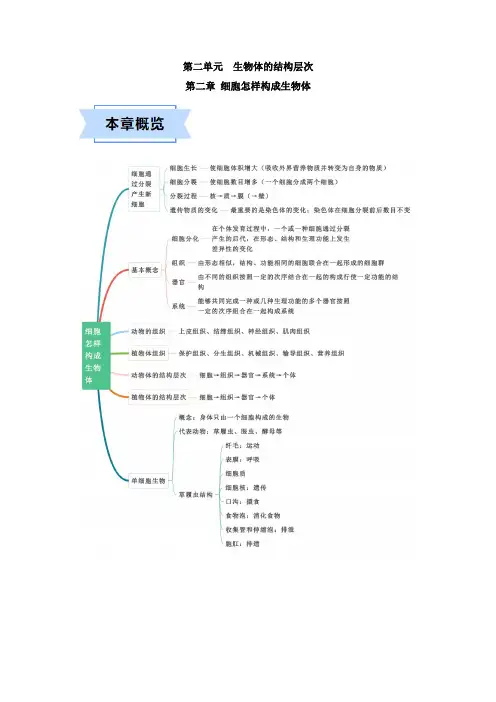 人教版七年级生物(上)第二章《细胞怎样构成生物体》速记清单(解析版)