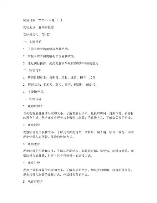 手臂骨头解剖实验报告