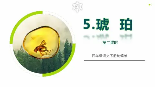 第5课《琥珀》 第二课时 课件(共27张PPT)