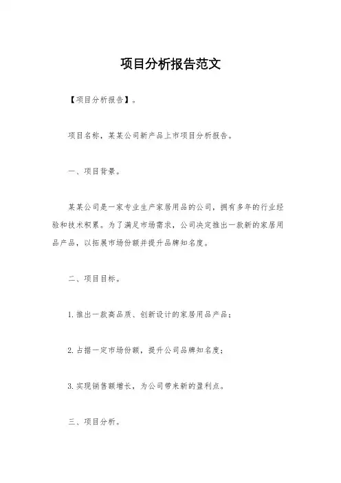 项目分析报告范文