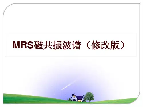 最新mrs磁共振波谱(修改版讲学课件