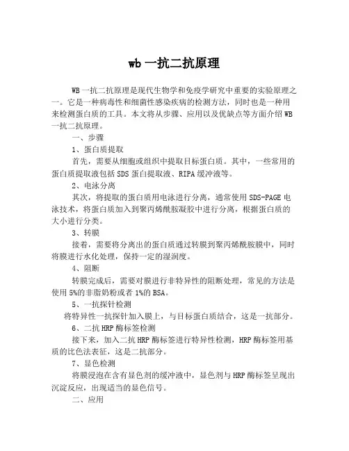 wb一抗二抗原理