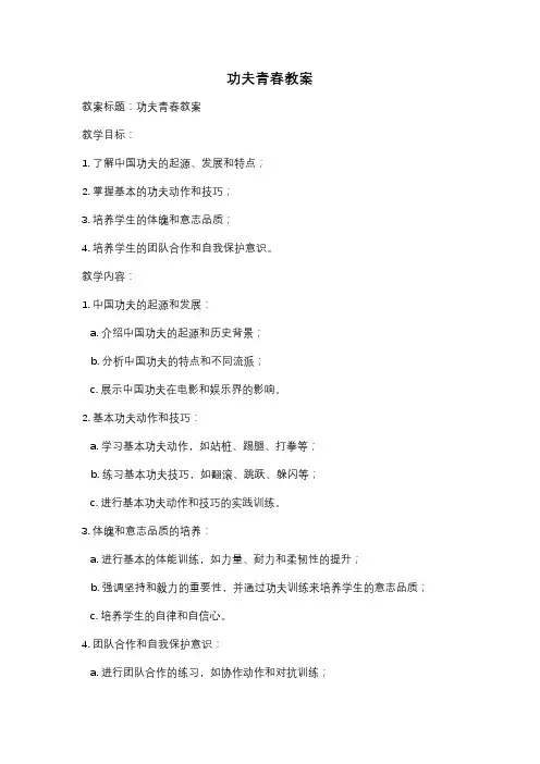 功夫青春教案