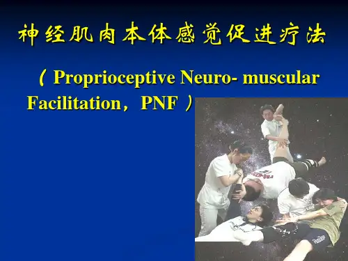 PNF技术精选全文完整版