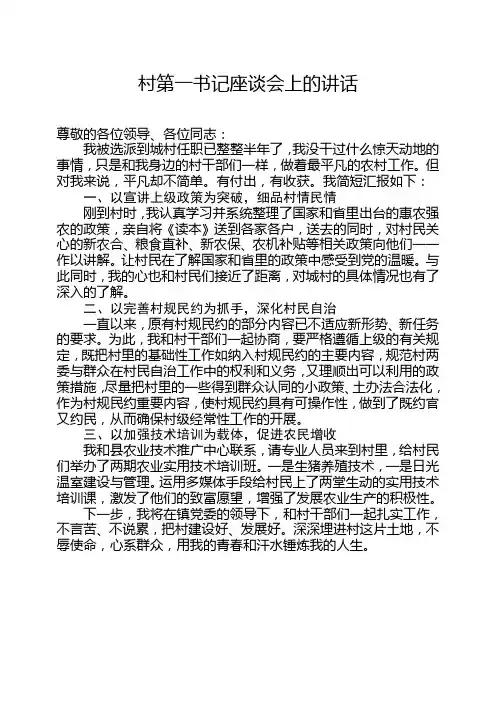 在驻村第一书记座谈会上的发言--