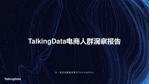 2019电商人群洞察报告-TalkingData