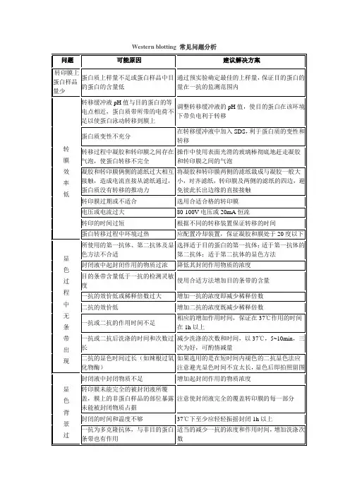 Western blotting 常见问题分析