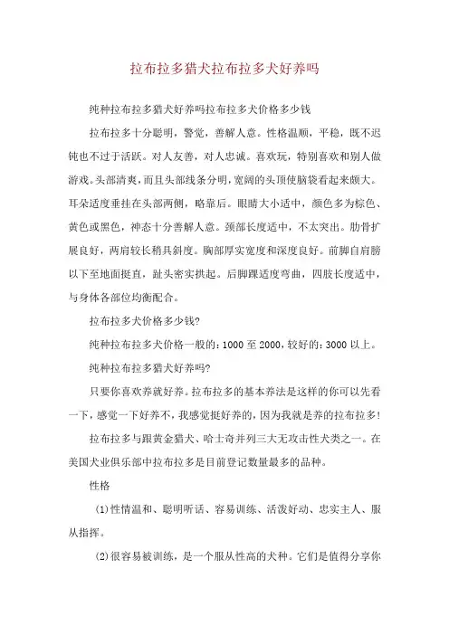 拉布拉多猎犬拉布拉多犬好养吗