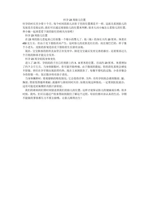 怀孕23周胎儿位置