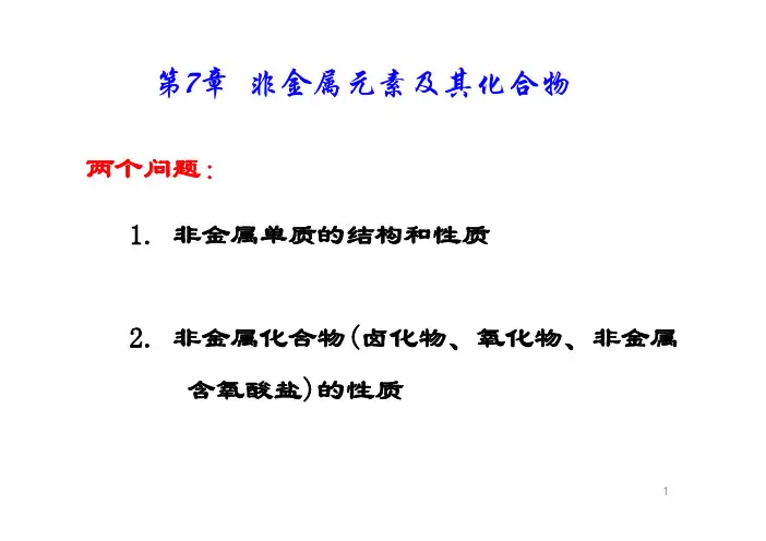 非金属元素及其化合物