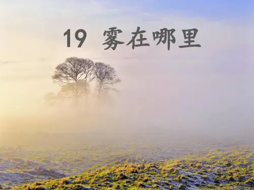 二年级上册语文课件-第19课 雾在哪里 部编版 (共29张PPT)