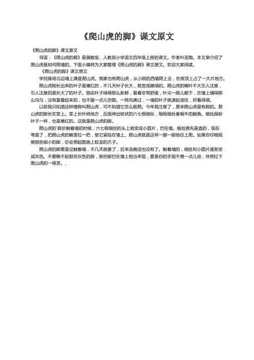 《爬山虎的脚》课文原文