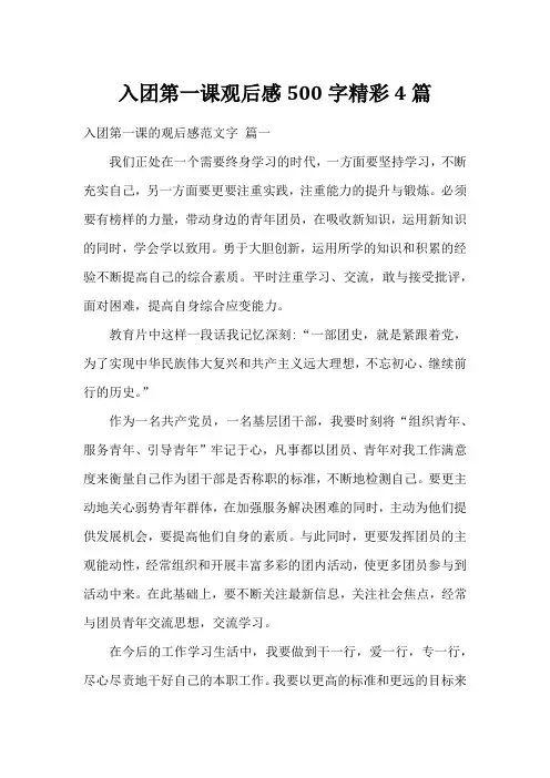 入团第一课观后感500字精彩4篇