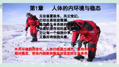1.1 细胞生活的环境(课件)高二生物(人教版2019选择性必修1)