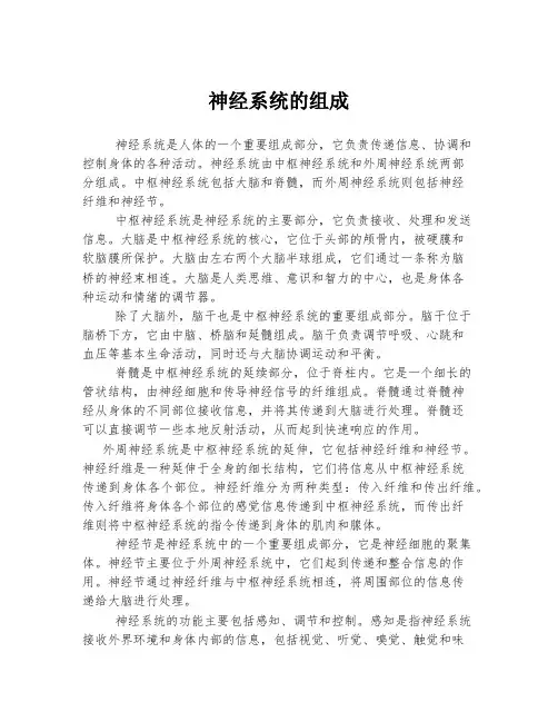 神经系统的组成