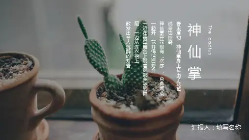 小清新仙人掌的香味通用PPT模板