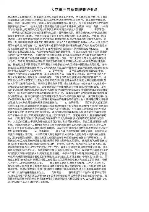 大花蕙兰四季管理养护要点