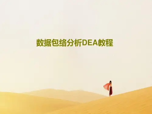 数据包络分析DEA教程PPT共45页