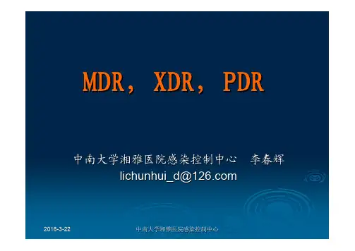 MDR,XDR,PDR定义共识