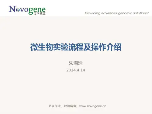 微生物实验流程及操作介绍