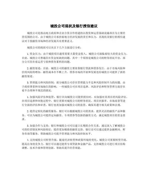城投公司现状及银行授信建议