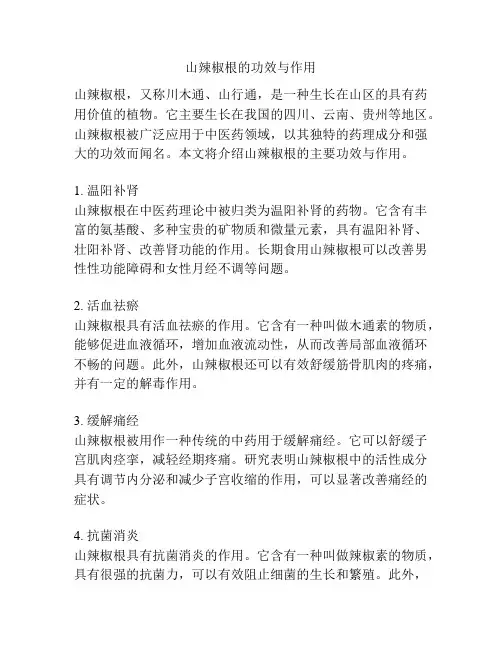 山辣椒根的功效与作用
