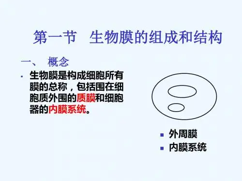 生物膜的组成和结构