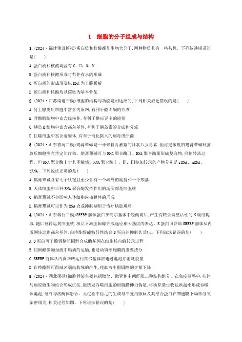 适用于新高考新教材2025版高考生物二轮复习知识对点小题练1细胞的分子组成与结构
