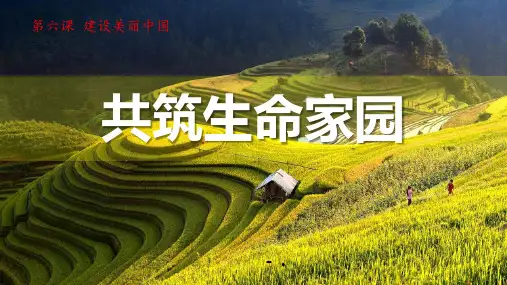 《共筑生命家园》PPT优质课件