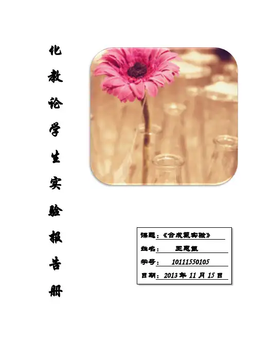 合成氨实验