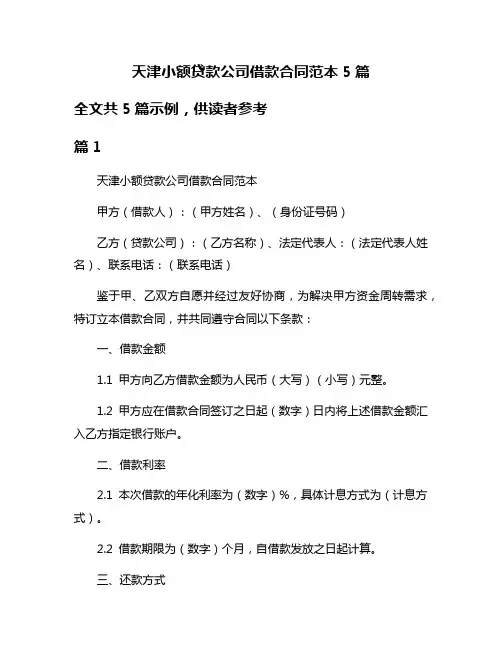 天津小额贷款公司借款合同范本5篇