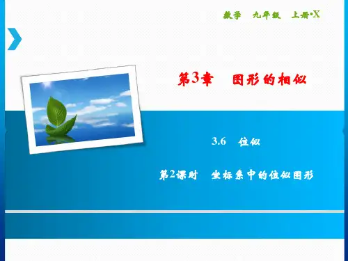 第3章 3.6 第2课时 坐标系中的位似图形