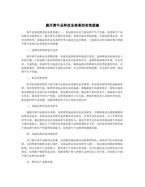 提升黄牛品种改良效果的有效措施