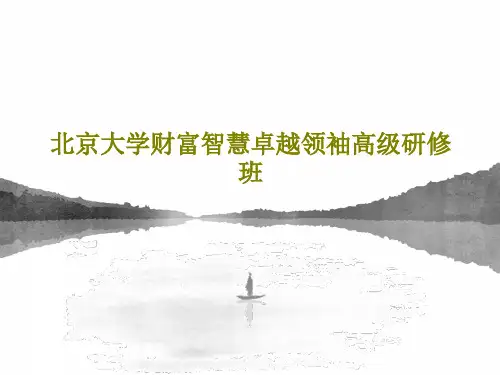 北京大学财富智慧卓越领袖高级研修班PPT文档41页