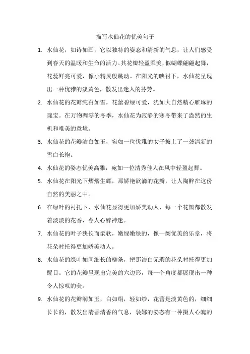 描写水仙花的优美句子