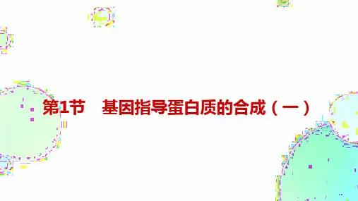 4.1 基因指导蛋白质的合成(一) 课件(共27张PPT)高一下学期生物人教版2019必修2